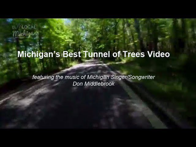 Tunnel of Trees featuring Don Middlebrook